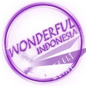 WonderFul Indonesia